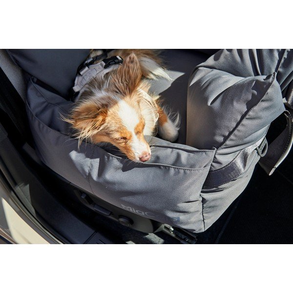 Ciemnoszara torba transportowa dla psów 50x50 cm Viaggio Asphalt – MiaCara-image-3