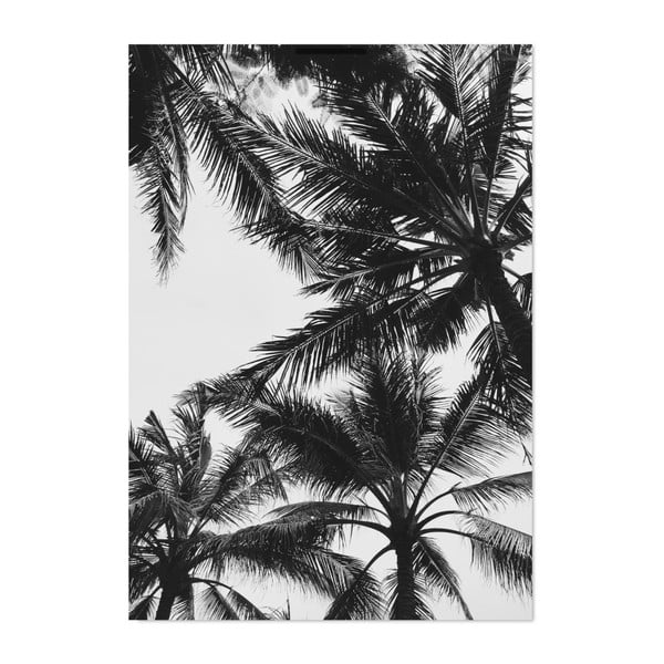 Plakat HF Living Botanic Palms, 21x30 cm