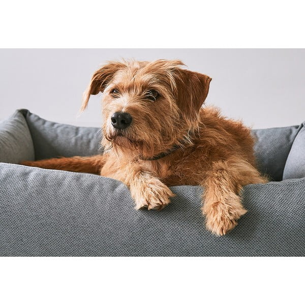 Brązowe legowisko dla psów 93x120 cm Mare Kelp L – MiaCara-image-2