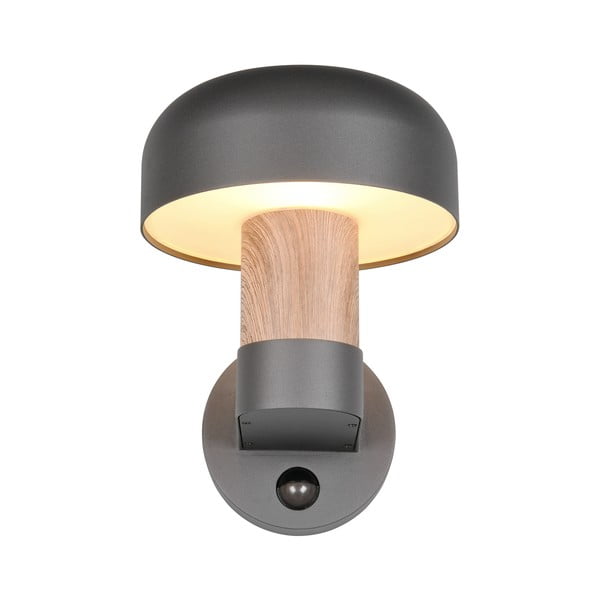 Zewnętrzna lampa ścienna (wysokość 24,5 cm) Fraser – Trio-image-3