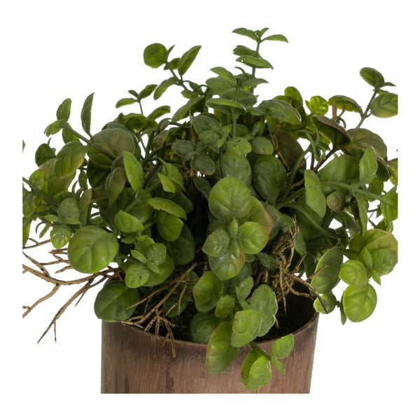 Sztuczne rośliny zestaw 2 szt. (wysokość 22 cm) – Casa Selección-image-1