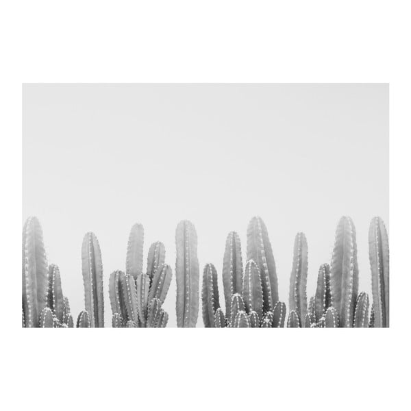 Obraz na płótnie Marmont Hill Cacti Noir, 61x41 cm