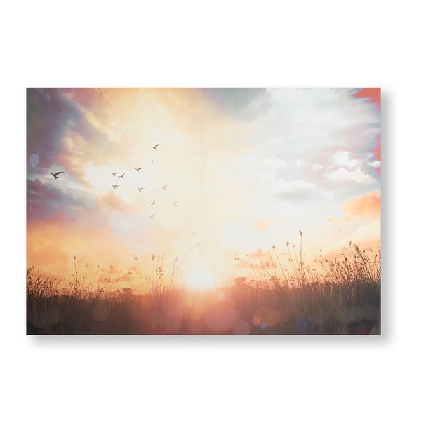Obraz Graham & Brown Serene Sunset Meadow, 100x70 cm