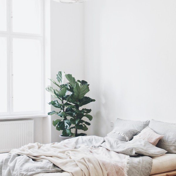 Łóżko dwuosobowe z drewna sosnowego z materacem Karup Design Senza Comfort Mat Natural Clear/Natural, 140x200 cm-image-1