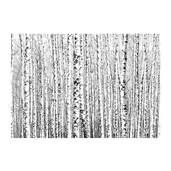 Tapeta wielkoformatowa Artgeist Birch Forest, 400x280 cm