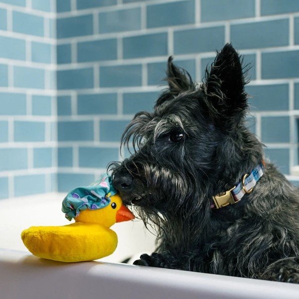 Zabawka dla psa Kaczka – P.L.A.Y.-image-1