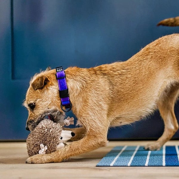 Zabawka dla psa Jeż – P.L.A.Y.-image-2