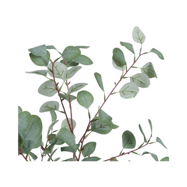 Sztuczny eukaliptus (wysokość 180 cm) Eucalyptus – Ixia-image-2