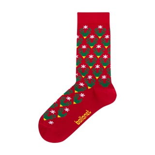 Skarpetki w opakowaniu podarunkowym Ballonet Socks Season's Greetings Socks Card with Caribou, rozmiar 36 - 40