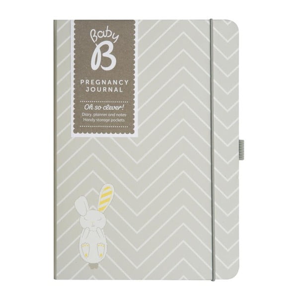 Dziennik ciążowy Pregnancy Journal-image-1