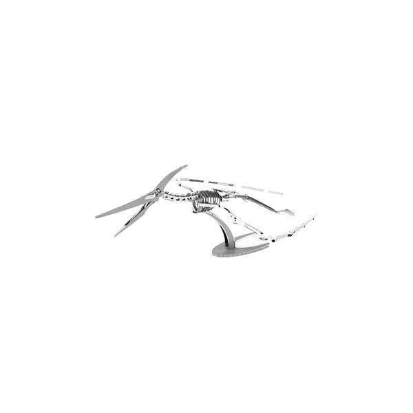 Model Pteranodon Skeleton