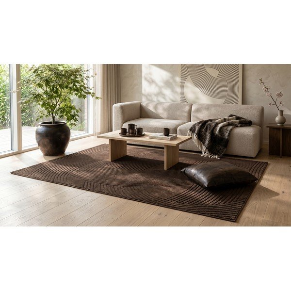 Brązowy dywan 160x230 cm Zephyr – ESTE-image-4