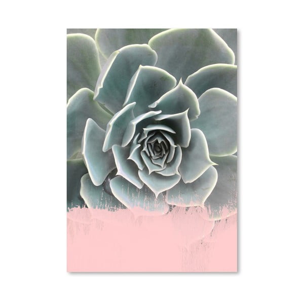 Plakat Americanflat Pink On Succulent, 30x42 cm