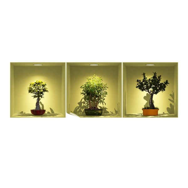 Zestaw 3 naklejek 3D Ambiance Bonsai Trees On Spot-image-1