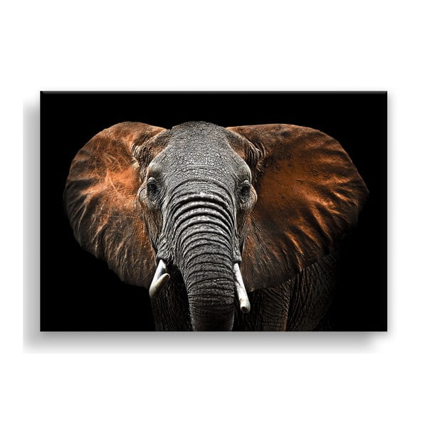 Obraz Styler Canvas Silver Uno Elephant, 85x113 cm