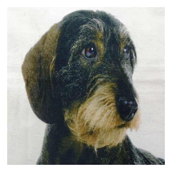 Poduszka Mars&More Dog, 50x50  cm-image-1