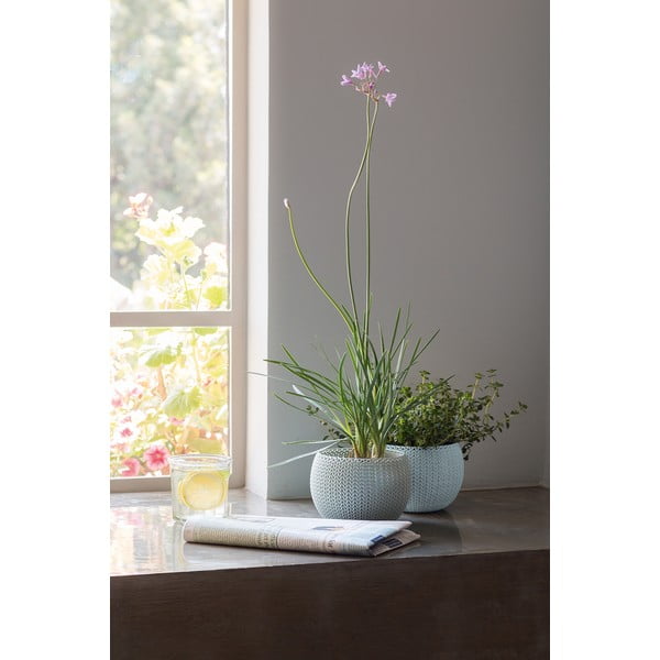 Plastikowe doniczki zestaw 3 szt. ø 15 cm Cozy – Keter-image-3