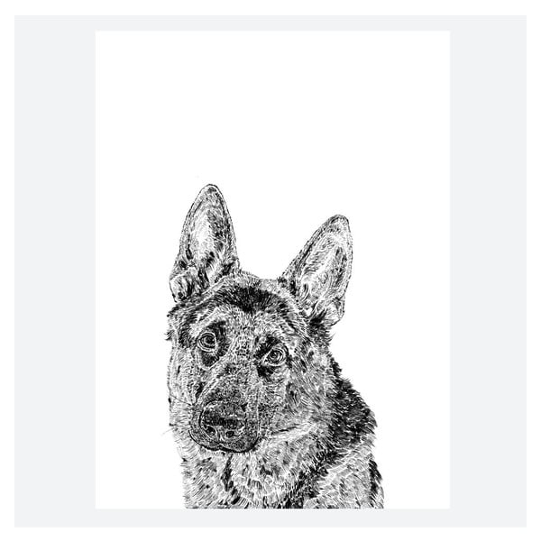 Plakat Roger the German Shepherd, 30x40 cm