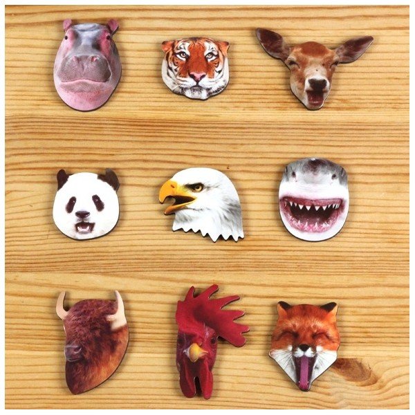 Magnesy Jungle Magnets-image-1