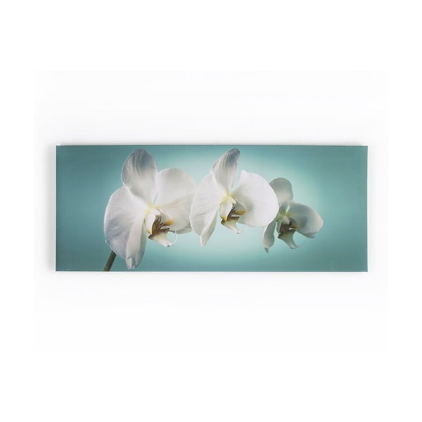 Obraz Graham & Brown Teal Orchid, 100x40 cm