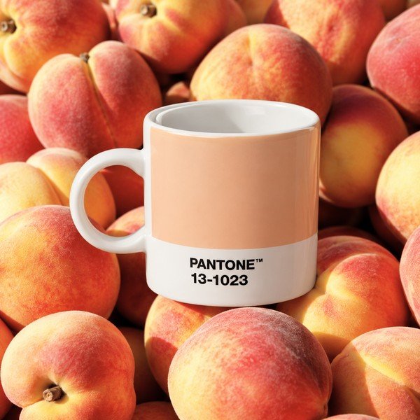 Brzoskwiniowa porcelanowa filiżanka na espresso 120 ml Peach Fuzz 13-1023 – Pantone-image-1
