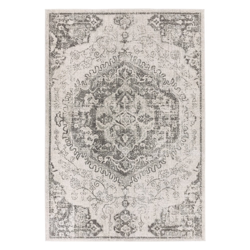 Szary/kremowy dywan 160x230 cm Nova – Asiatic Carpets