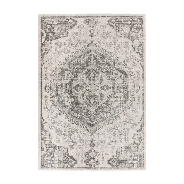 Szary/kremowy dywan 120x170 cm Nova – Asiatic Carpets