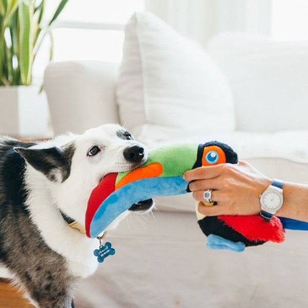 Zabawka dla psa Tukan – P.L.A.Y.-image-1