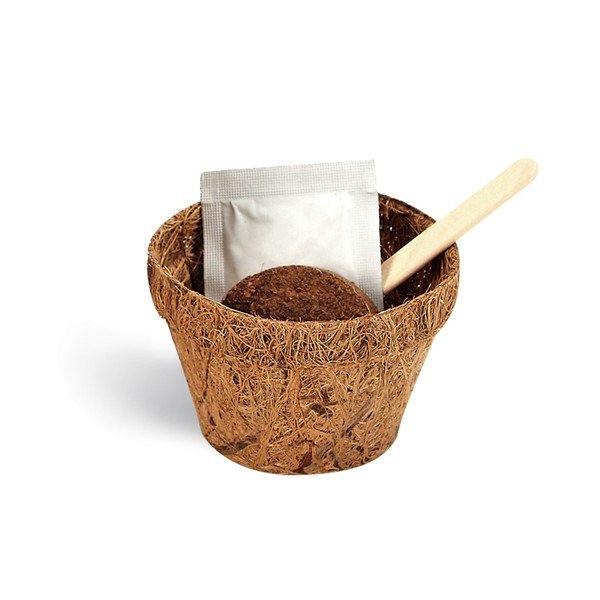 Zestaw do uprawy roślin z ziarnami koniczyny Gift Republic Good Luck-image-1