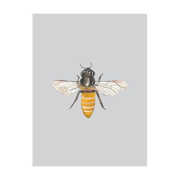 Plakat Little Bee, 40x50 cm