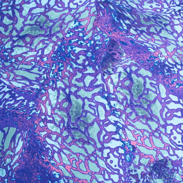 Niebieska bawełniana pościel dziecięca jednoosobowa 140x200 cm How To Train Your Dragon – Jerry Fabrics-image-4