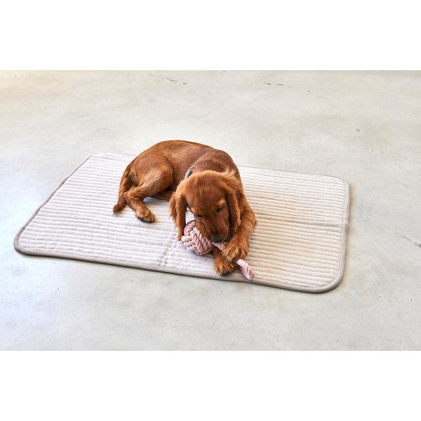 Beżowy bawełniany koc dla psów 90x120 cm Onda Greige L – MiaCara-image-3