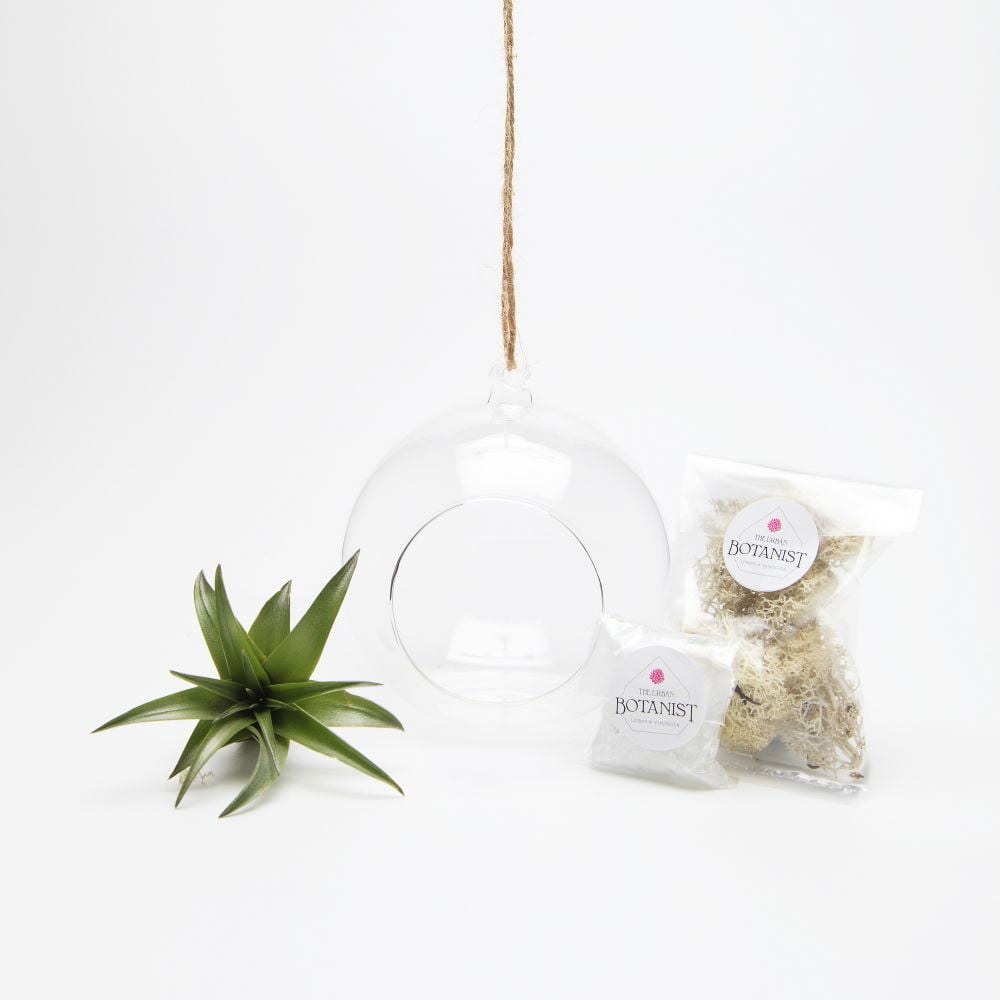 Terrarium z roślinami Globe Mini DIY