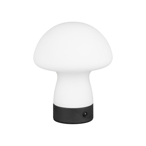 Lampa stołowa LED w matowym białym kolorze ze szklanym kloszem (wysokość 18 cm) Dooley – Trio