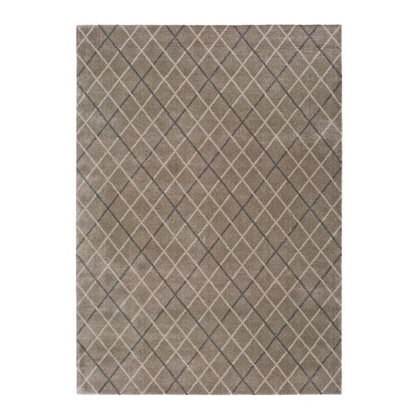 Szary dywan odpowiedni na zewnątrz Universal Sofie Silver, 120x170 cm