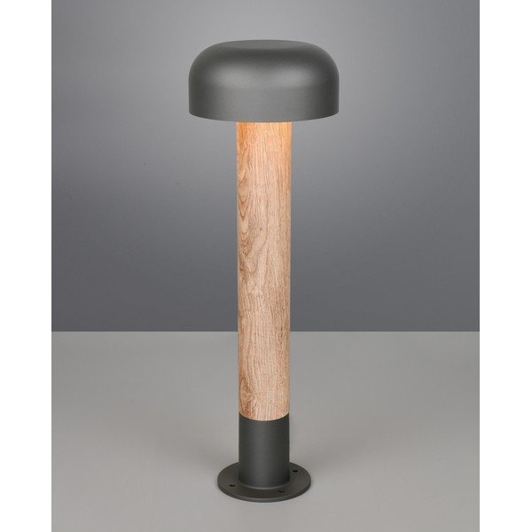 Lampa zewnętrzna typu słupek ø 19 cm Fraser – Trio-image-1
