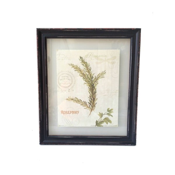 Obraz Hierbas Rosemary, 38x32,5 cm