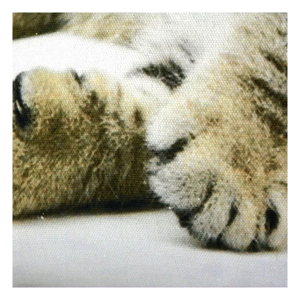 Poduszka Cat 50x35 cm-image-1