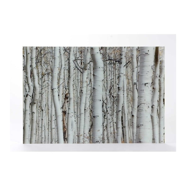 Szklany obraz Amadeus Winter Forest