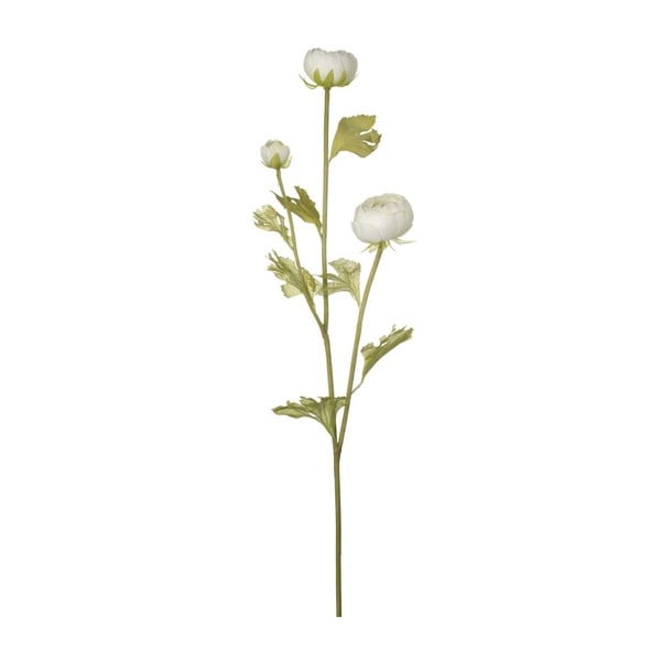 Biały kwiat dekoracyjny Heaven Sends Ranuculus