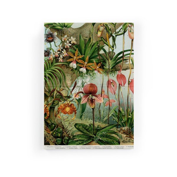 Obraz na płótnie Surdic Jungle Flowers, 40x60 cm