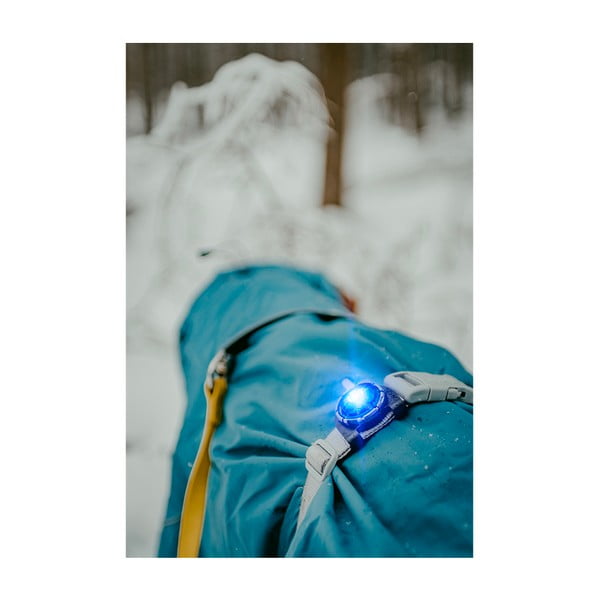 Lampka LED na obrożę Blue – Orbiloc-image-3