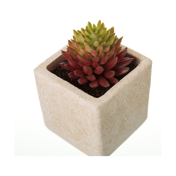 Sztuczne rośliny zestaw 6 szt. (wysokość 9,5 cm) Cactus – Casa Selección-image-4
