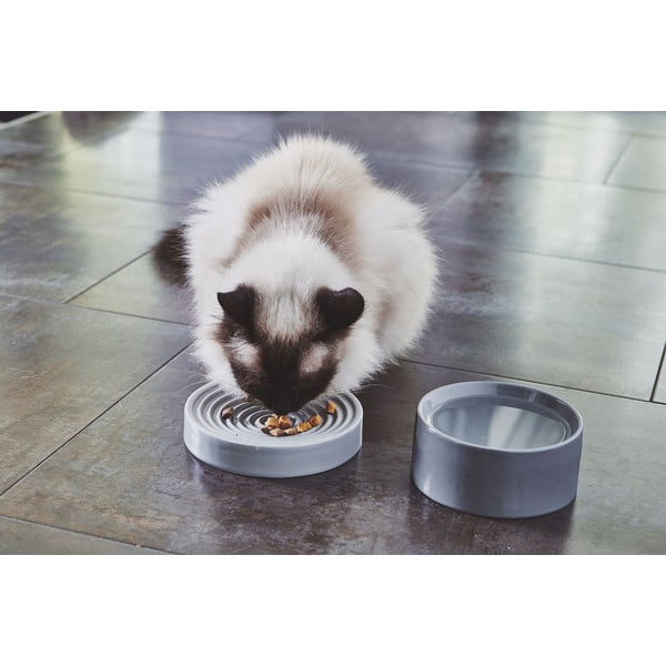 Porcelanowa miska dla kotów ø 14 cm Fresco Concrete S – MiaCara-image-1