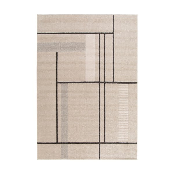 Beżowy dywan 80x150 cm Domus – Universal