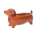 Porcelanowa miska dekoracyjna 5x14 cm Sausage Dog – Sass & Belle