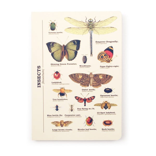 Notes Gift Republic Insects, rozm. A5