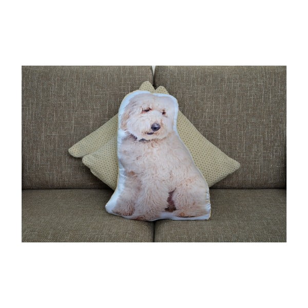 Poduszeczka Adorable Cushions Labradoodle-image-1