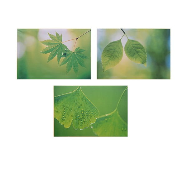 Zestaw 3 obrazów na drewnie Leaves, 50x36 cm
