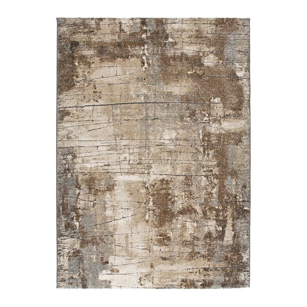 Szary dywan Universal Elke, 160x230 cm